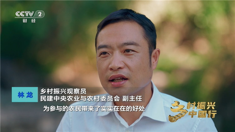 央視鏡頭下，鳴鳴很忙如何把鄉村好物賣爆全國 突破農產品零售瓶頸的城鄉產業協同樣板